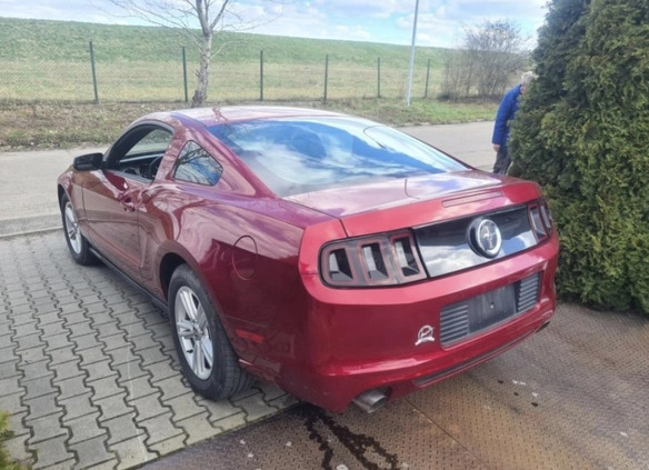 Ford Mustang cena 56800 przebieg: 177900, rok produkcji 2014 z Drobin małe 79